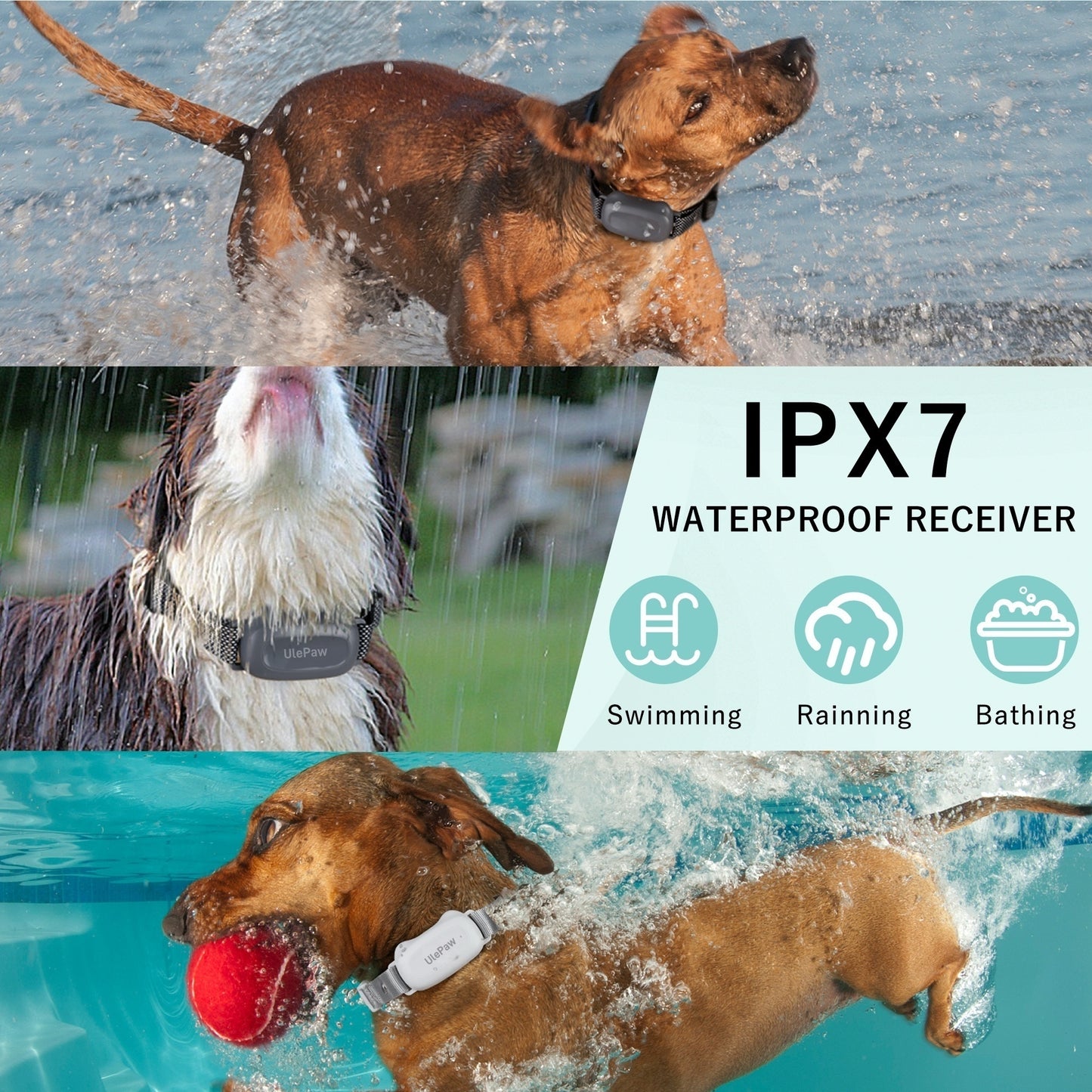 UlePaw Dog Training Shock Collar with Remote, IPX7 Waterproof Rechargeable