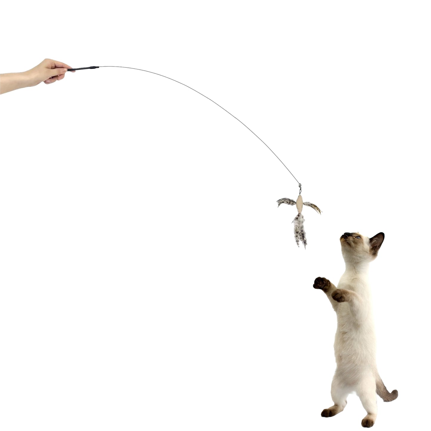 UlePaw Cat Wand Toys with Suction Cup, 8 Feather Refills Bells Interactive