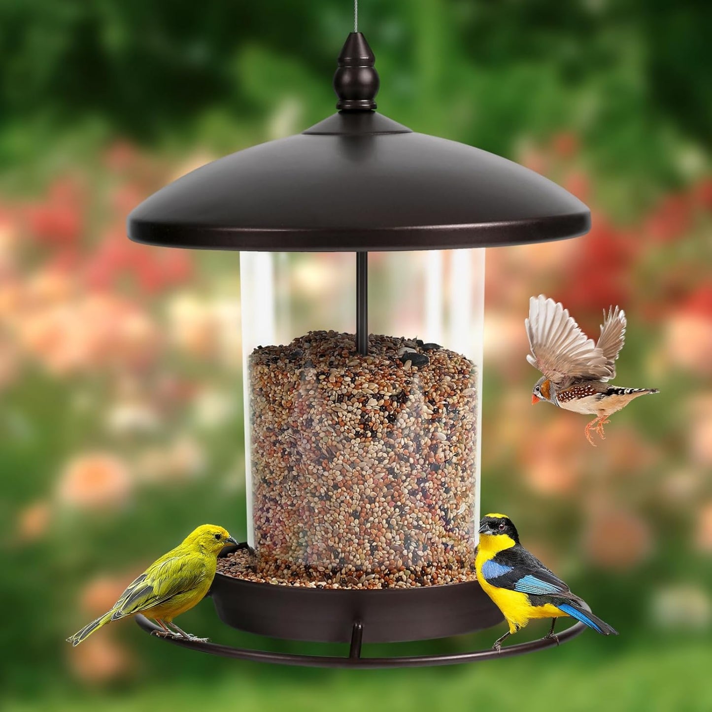 UlePaw Metal Bird Feeder 3LB Hanging Outdoor 360° Weatherproof