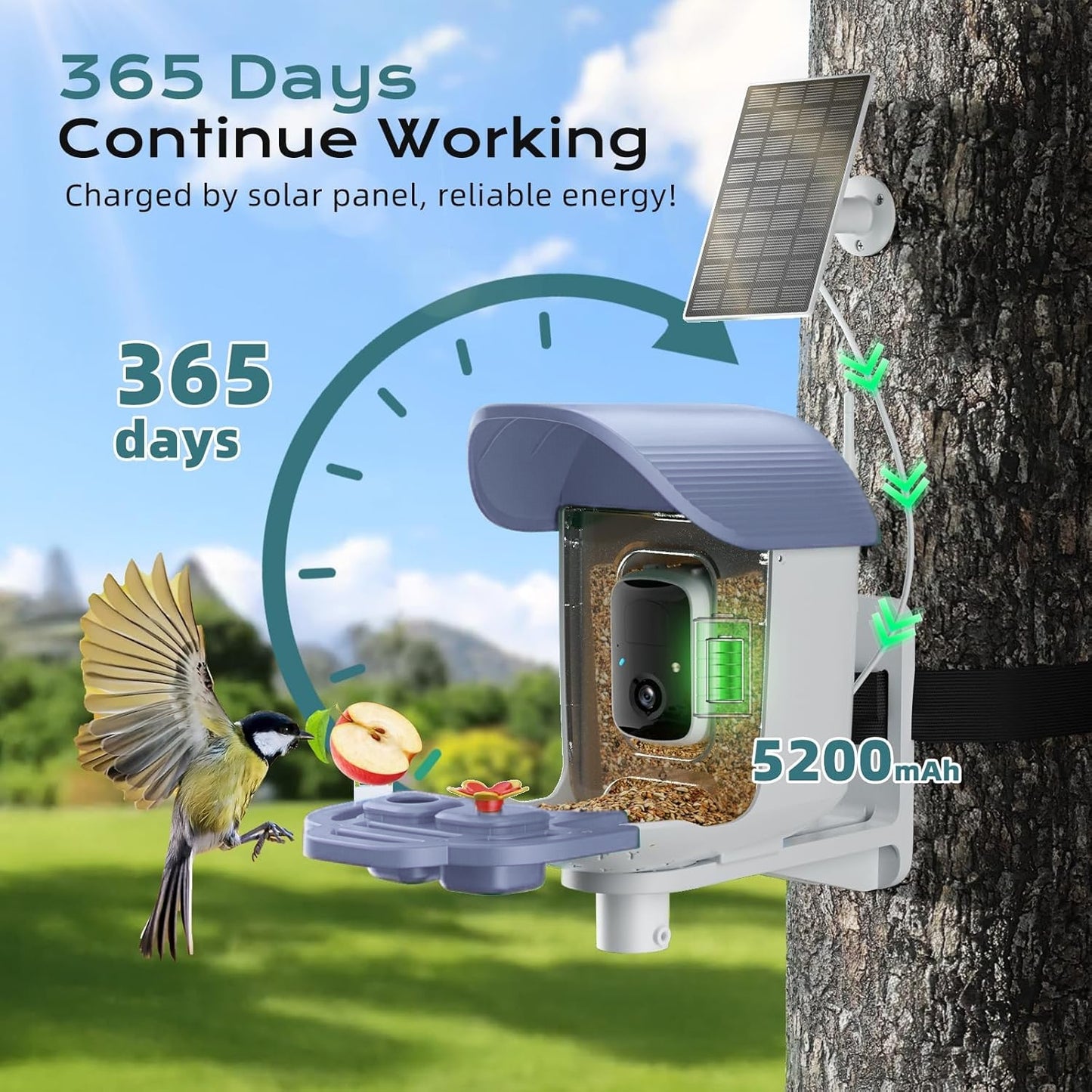 Smart Bird Feeder with Camera, Solar Powered Bird Feeder Camera with AI Bird Identification, 2.5K HD Video Bird House with Camera, Weatherproof Design Ideal Present for Bird Lover