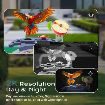 Smart Bird Feeder with Camera, Solar Powered Bird Feeder Camera with AI Bird Identification, 2.5K HD Video Bird House with Camera, Weatherproof Design Ideal Present for Bird Lover